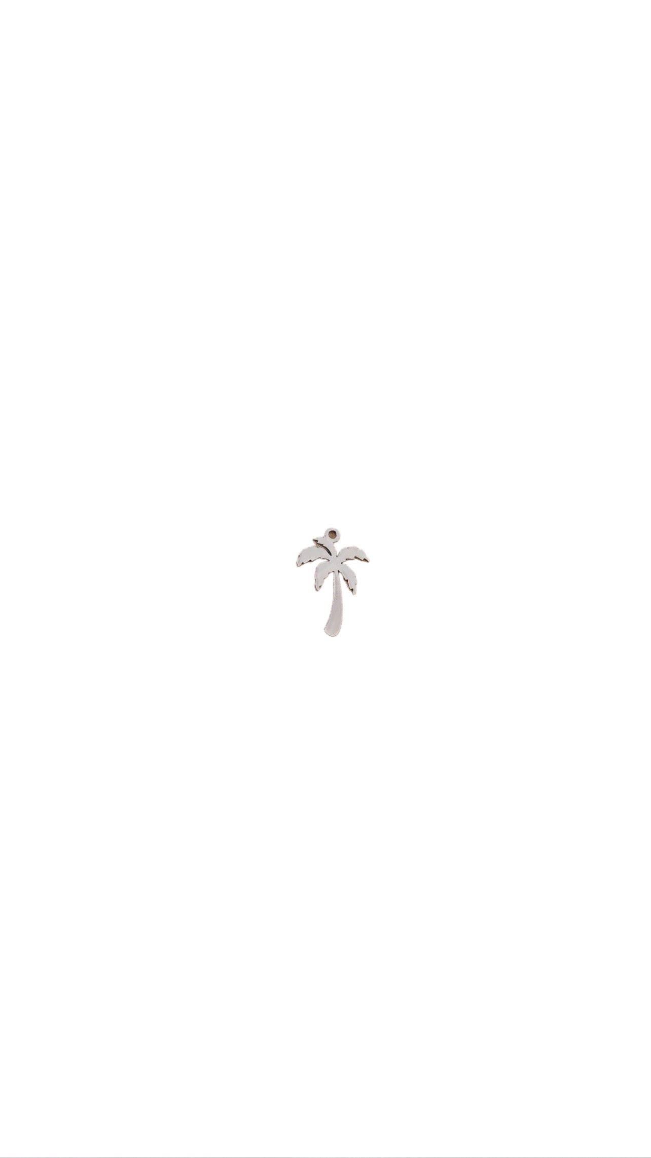 palm tree