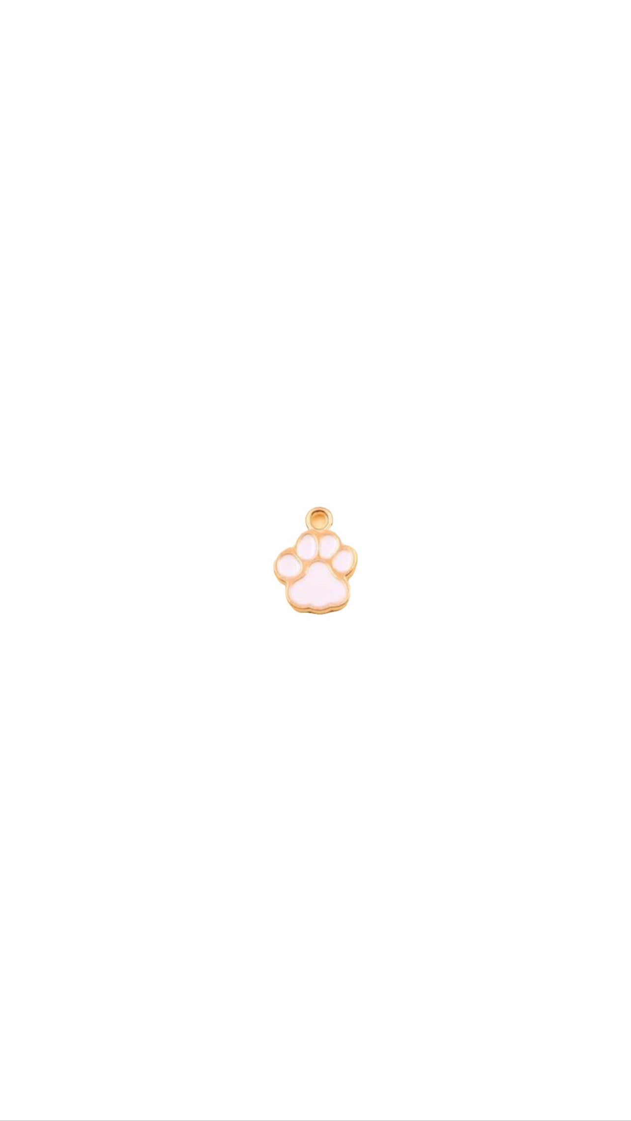 paw